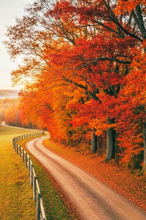 Nature lover (@magical_places3) on Twitter photo 