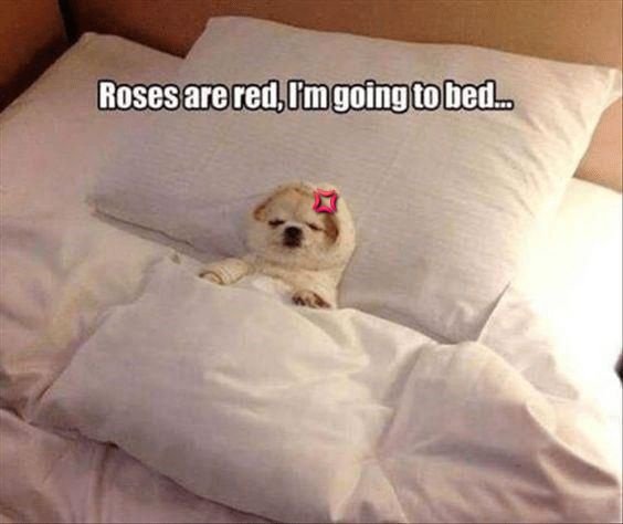 Roses are red 🌹, Tabizen vibe are also red 💢

I choose to stay in <a href="/Tabizens/">Tabizen💢🏯</a>