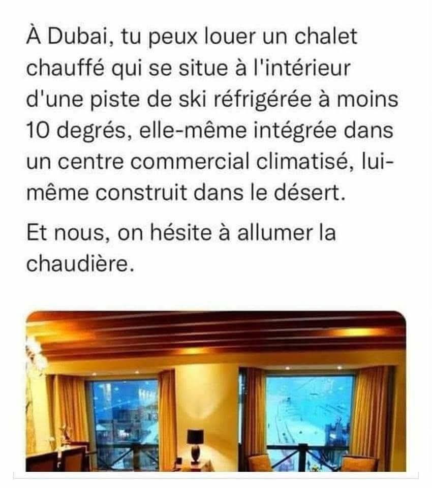 Pumbaa 🐗 (@gotpumbaa) on Twitter photo 