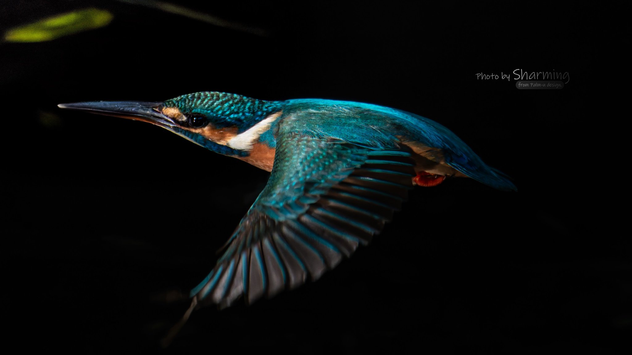 ア*ラ様 翡翠 猿 ア*ラ様 翡翠 猿 Jadeite | SELSHA