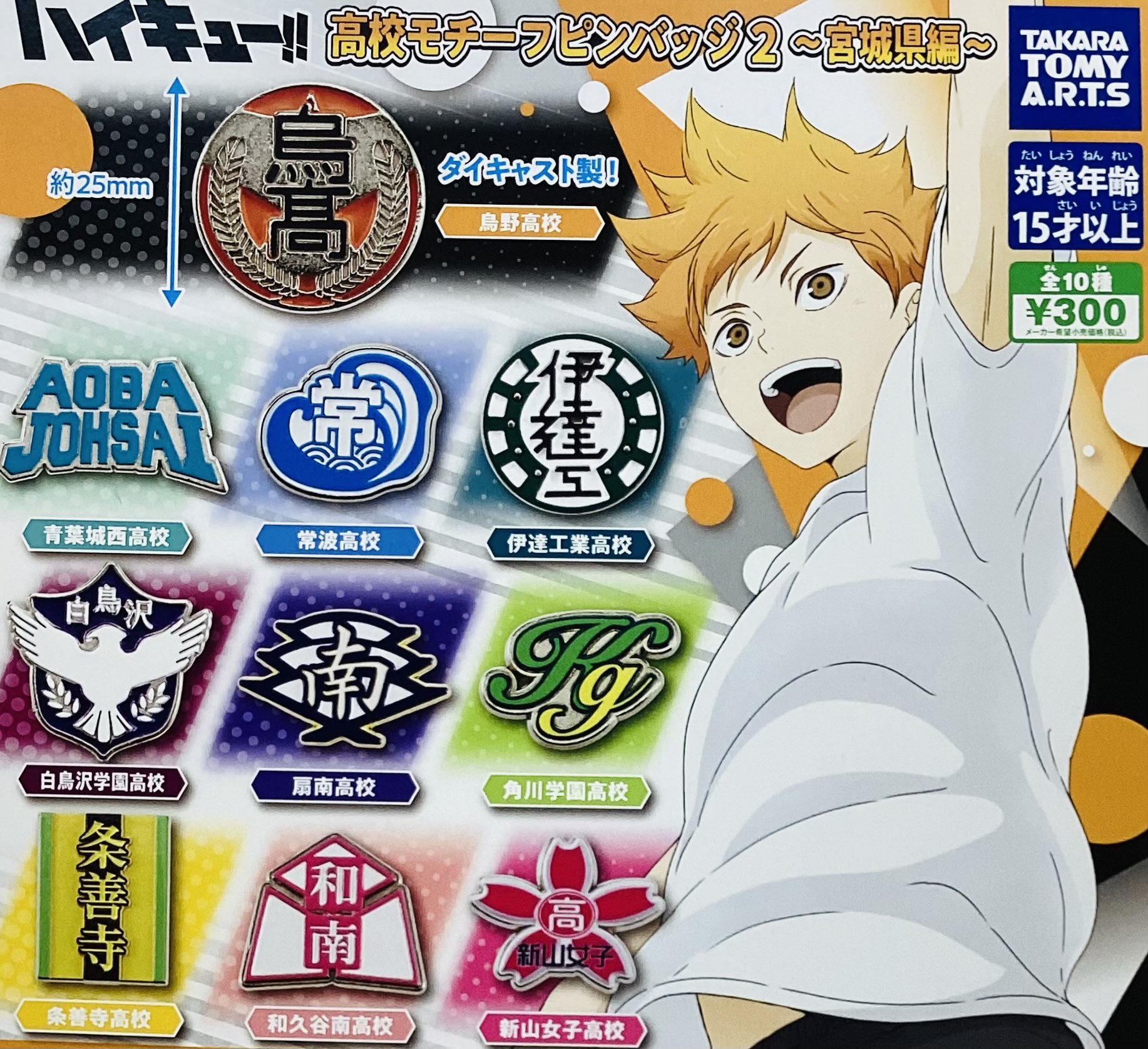 ハイキュー‼︎ 校章 チーム ピンバッジ 11個セット ハイキュー!! TO THE TOP 高校モチーフピンバッジ : アニメ