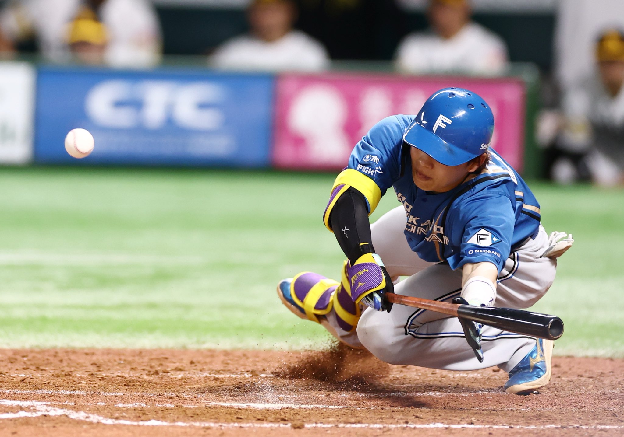 美品 Hokkaido F Village X パーカー サL HFX 栗山英樹 北海道日本ハムファイターズ公式 (@FightersPR) / X