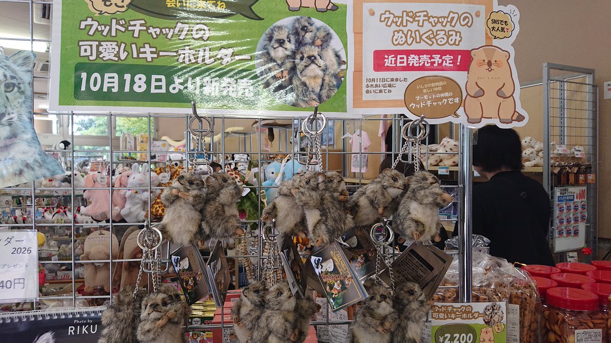 山本 マカロン♬✧ on X