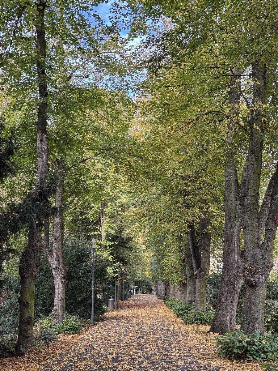 RenateKleine's tweet image. Guten Morgen☕️❤️ wünsche euch einen gesegneten und schönen Sonntag 🌻🍂
⭐️ Erfreu dich am Weg, anstatt das Ziel herbeizusehnen. ⭐️
Harald Gebert