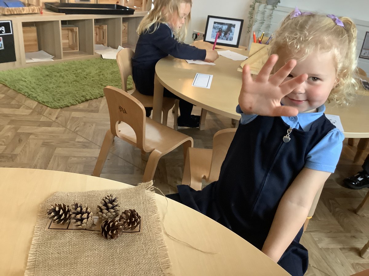 Fitzwilliam Primary tweet media