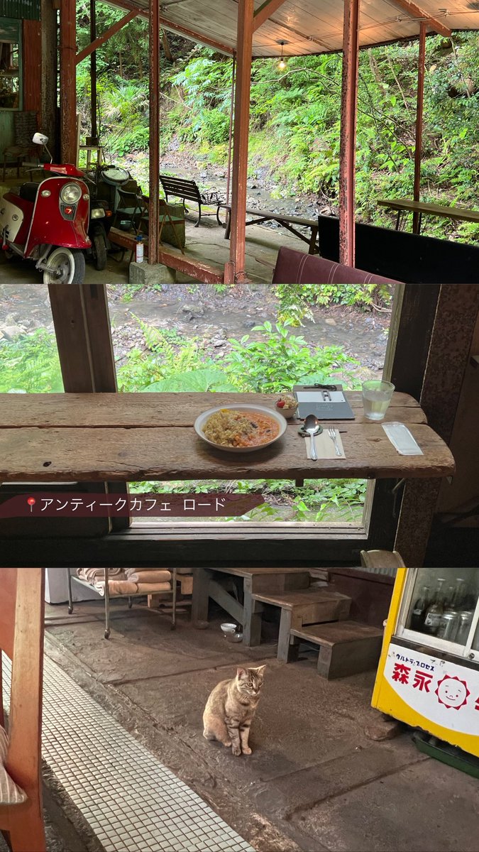 この時期にオススメのテラス席カフェ4選☕️🍁