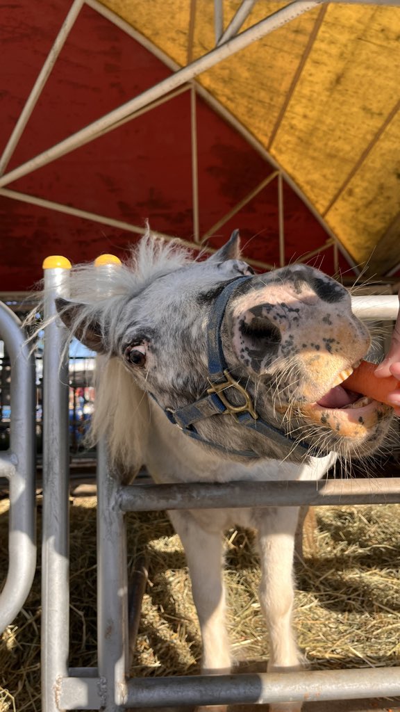 ぽんさま確認ページ♡ ぽんぽん🐾 (@franchise_pon) / Posts / X