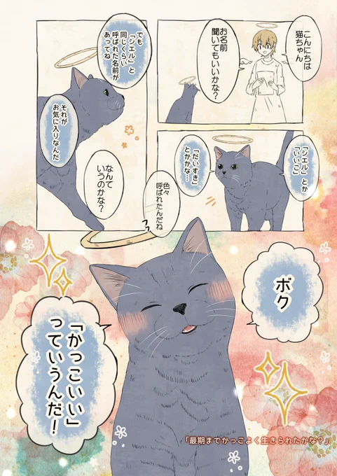 自分の名前を勘違いしているロシアンブルー 