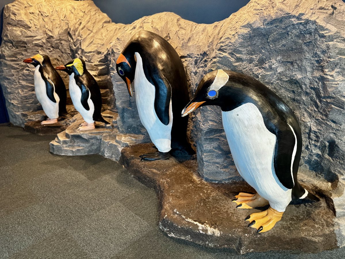 しらたき (@u2e6x) / Posts / X