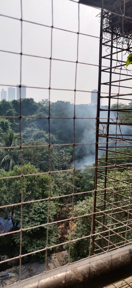 an_ve's tweet photo. @mybmc @mybmcWardRS This activity of burning  just doesn't stop. The location is at Akurli road near WEH. (Behind Shiv Sena branch) https://t.co/rcZB6qdlv7