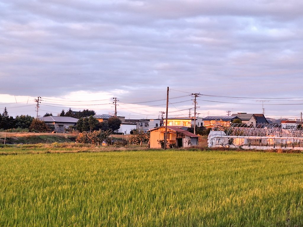 あっという間に日が暮れた。
忙しすぎたが良い1日だった…。😊