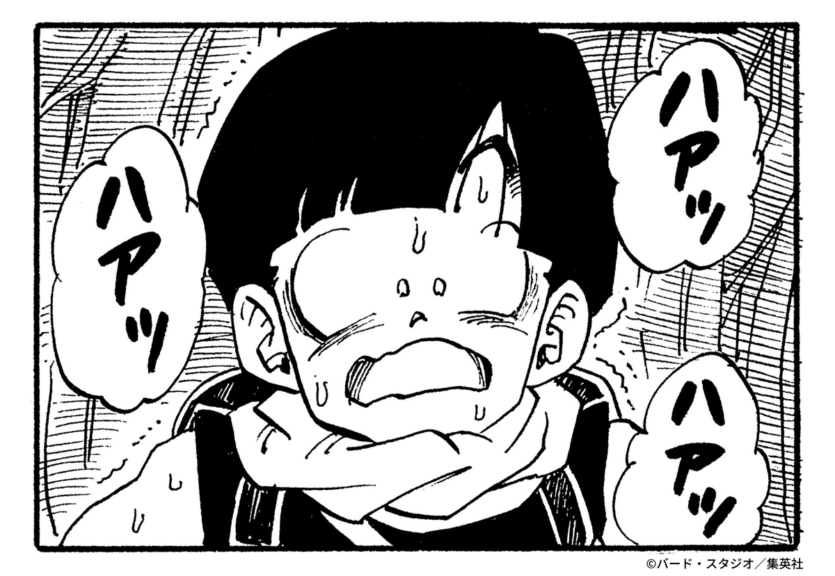 ドラゴンボールオフィシャル on X: 