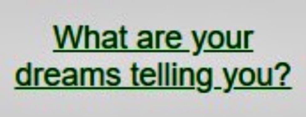 anon tweet media