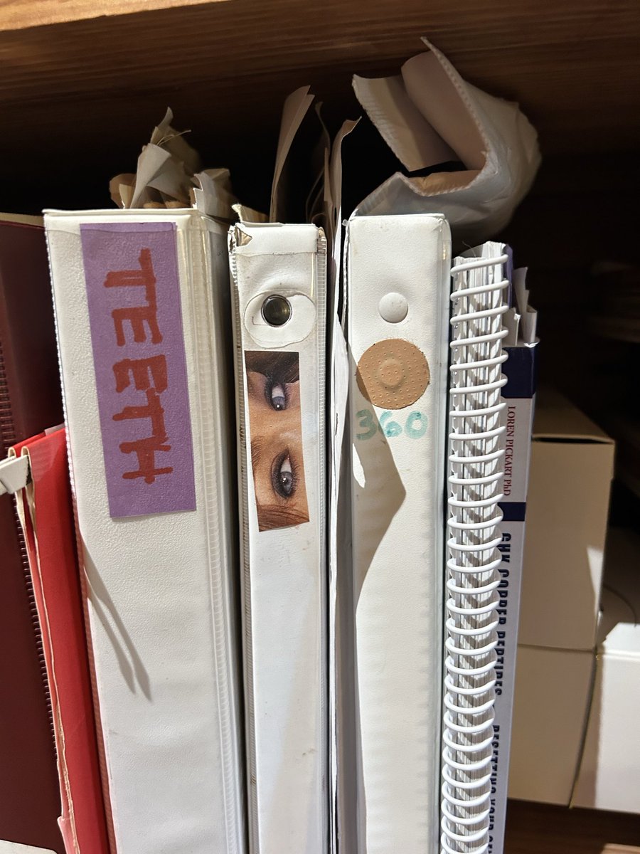 forestgrape's tweet image. everything worth knowing exists within these binders