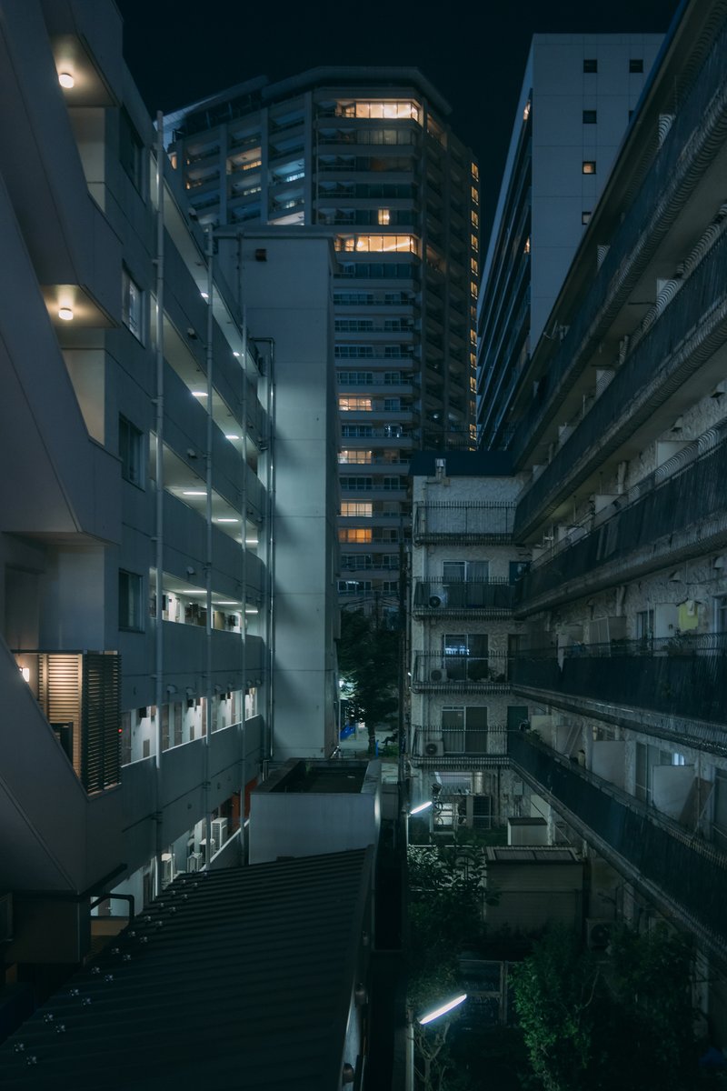 imari33_photo's tweet image. 