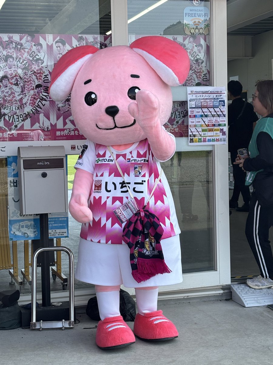 CHII⭐︎ Amazon.com: J2 Engineering Pair of Large Sized Universal