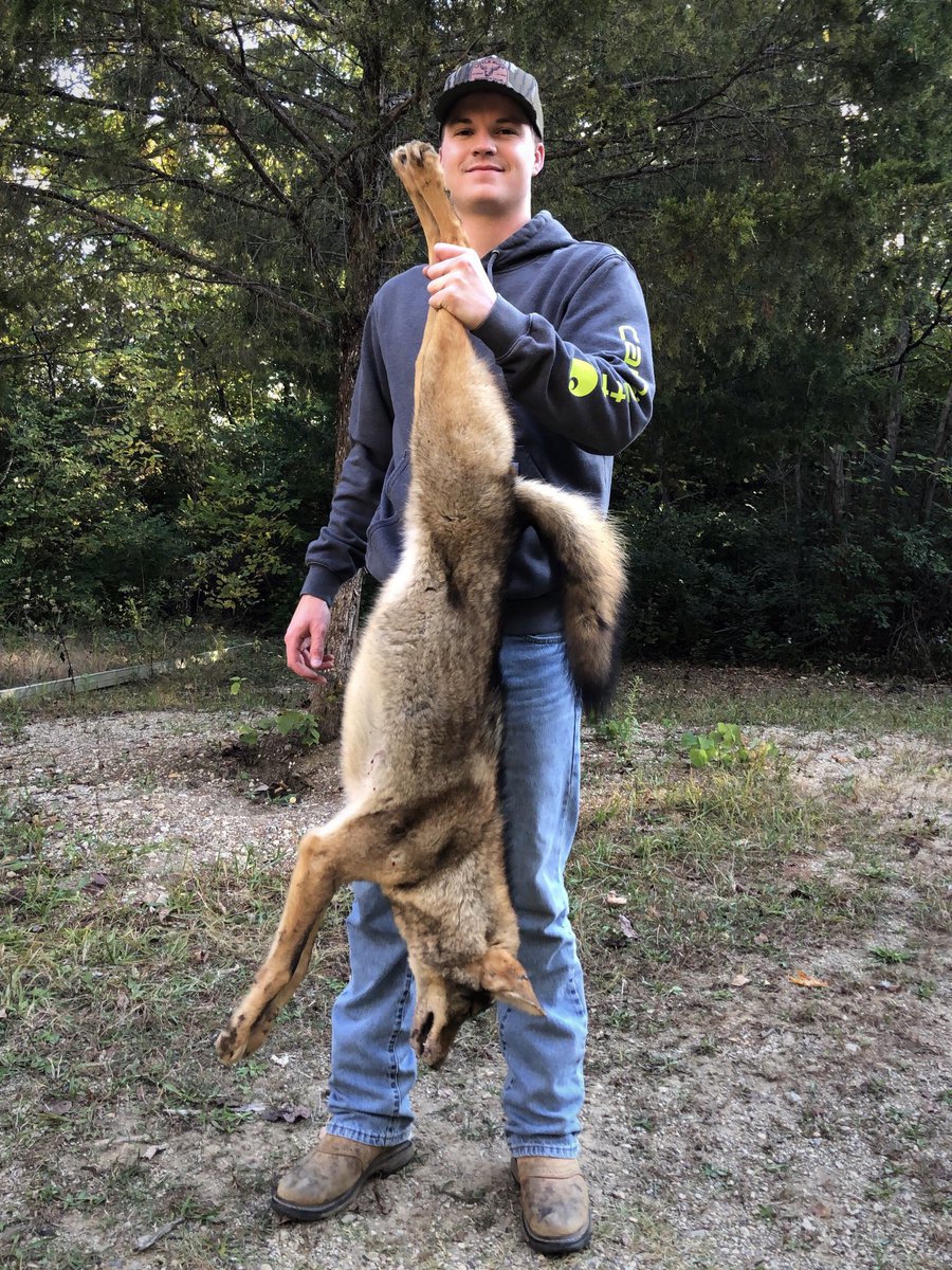 BjSims98's tweet photo. Yote down #coyote #hunting #outdoors https://t.co/BKtm80EP9b