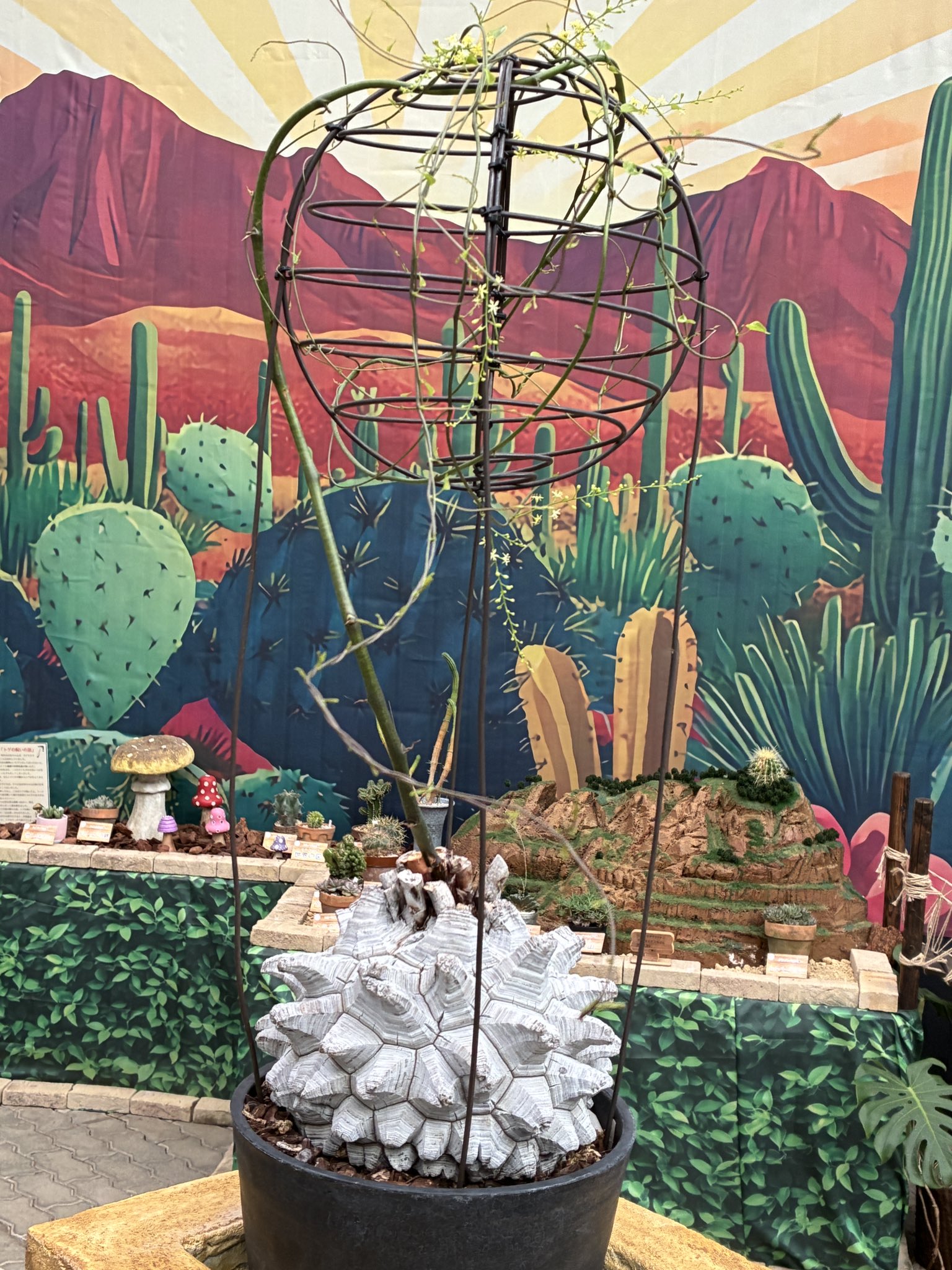 海月ページ Amazon.co.jp: ほぼ日手帳 2025 weeks 芸艸堂/美術海(七夕飾り