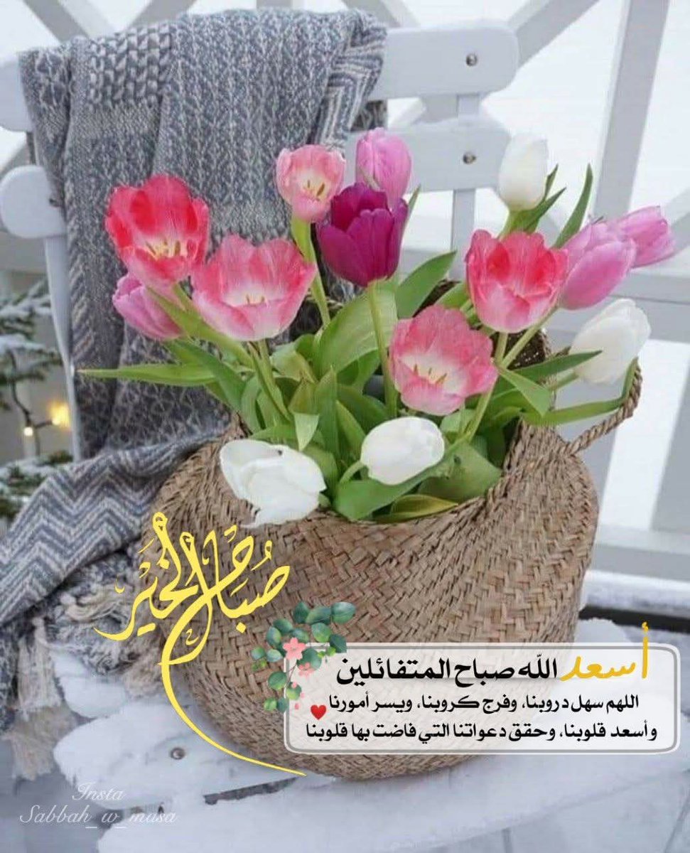 اللهم بك أصبحنا وعليك توكلنا فاحفظنا وأنت خير الحافظين🤲
#صباح_الخير🌿🌹