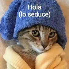 jLedors's tweet photo. @Sofasaq https://t.co/YwqRdtk1ih