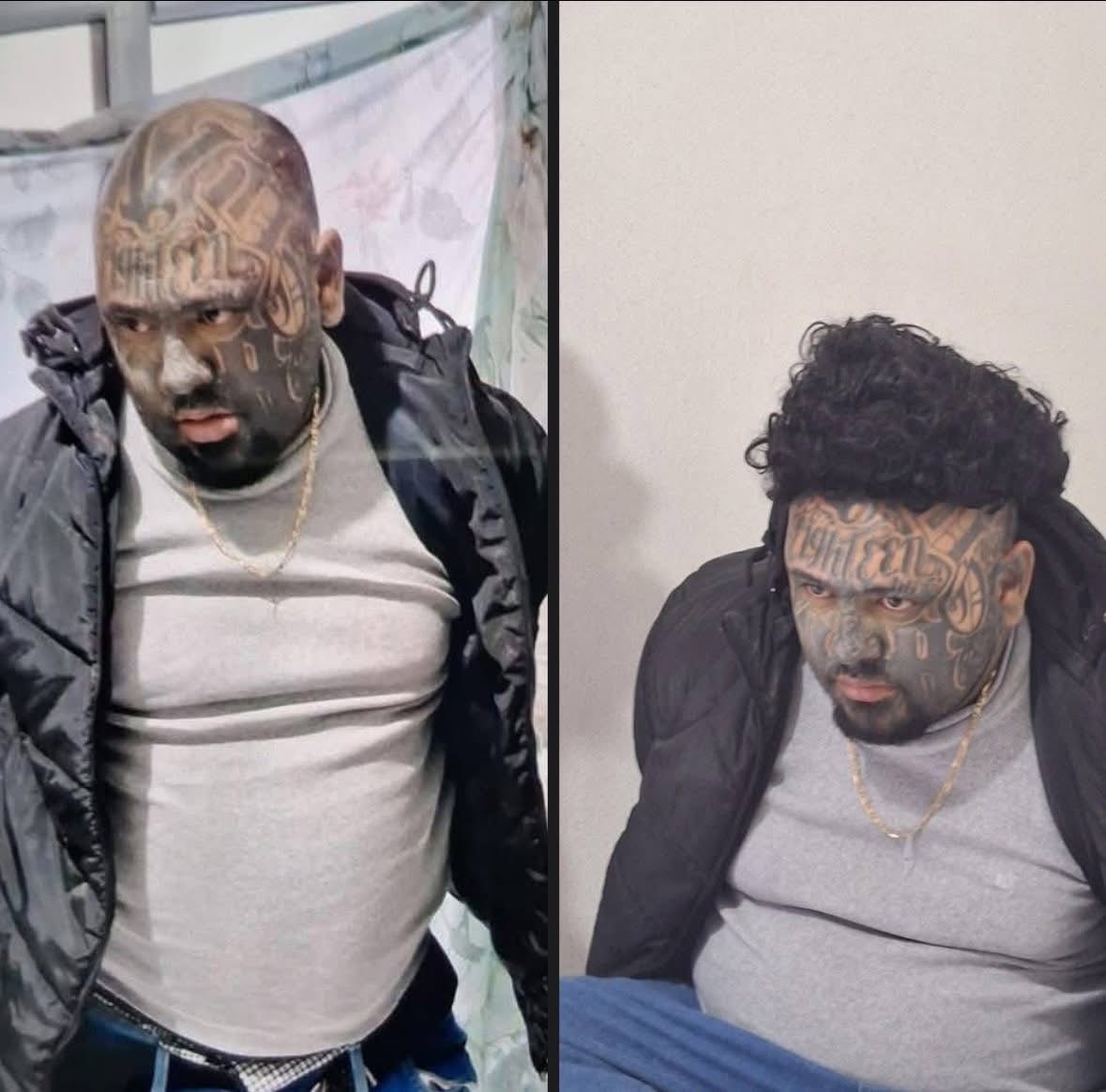 Crema Do Nascimento tweet media