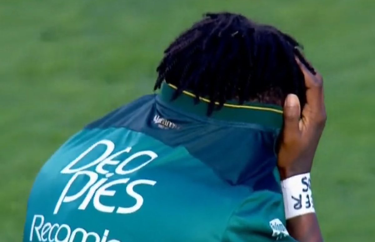 FrenkiePingPong tweet media