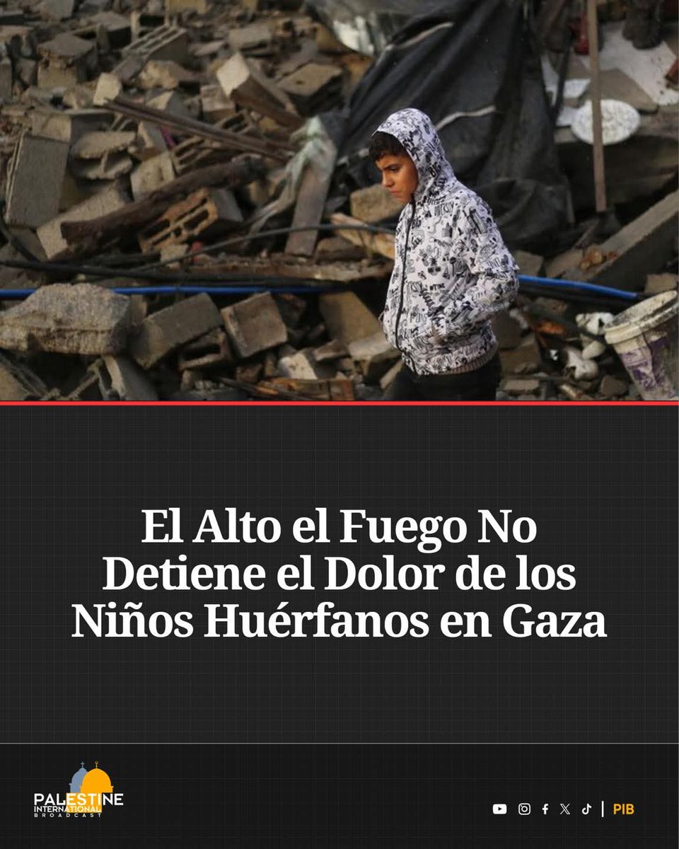 PatitaGastineZ's tweet image. Tras más de dos años de #bombardeos, #genocidio hambre y desplazamiento, la #infancia en #Gaza vive una tragedia que no cesa. Según datos del Ministerio de Salud citados por UNICEF, 2.596 niños han perdido a ambos padres, mientras que más de 53.000 perdieron al menos a 1 de ellos