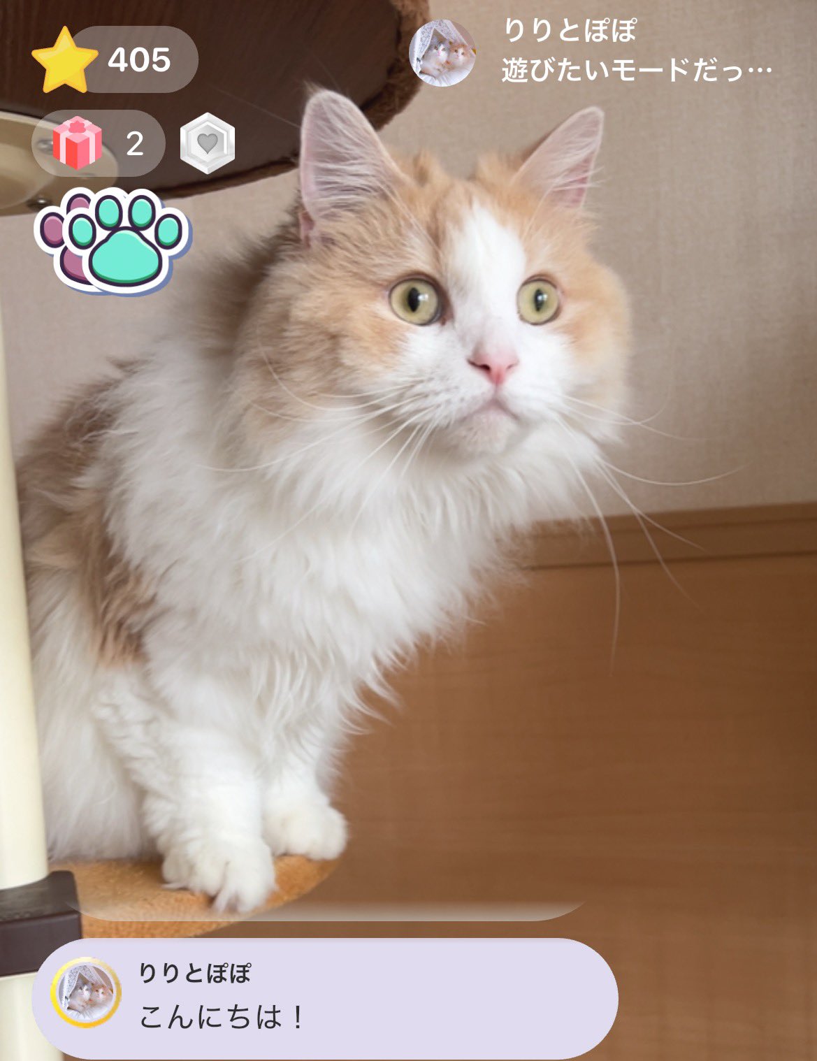 灯さかす@毎日YouTube目標 on X: 