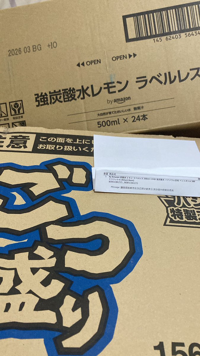 Two cardboard boxes are displayed on a surface. The first box features a barcode, expiration date of 2025-03-16, and instructions to open both sides, labeled with Japanese text for carbonated lemon water by a brand with a emblem design, containing 500ml x 24 bottles. The second box shows a blue-trimmed label for instant gutsumori salt yakisoba noodles, priced at 156 yen, with product details and manufacturer information visible on the packaging.