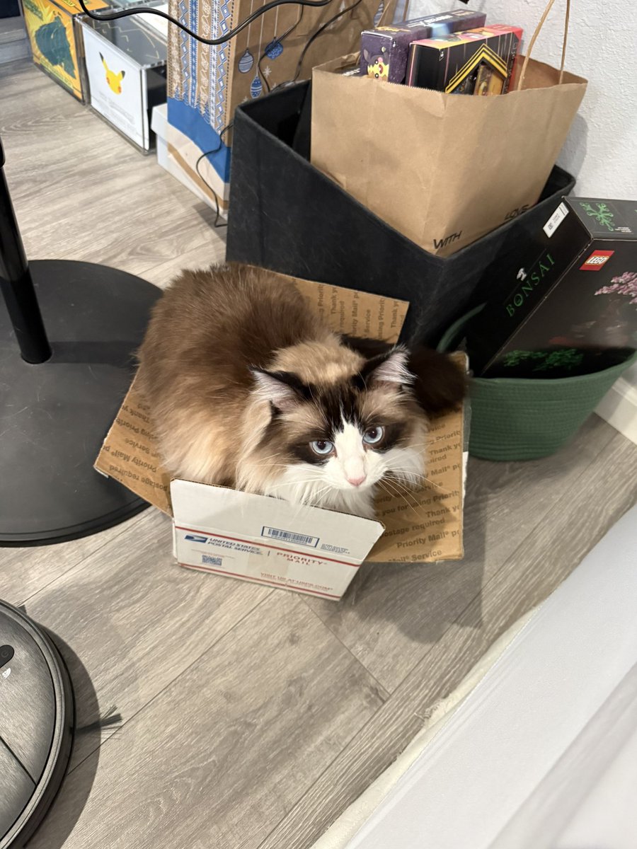 I would spend every single dollar on you. I hope you can come home feeling better 🥹🤍