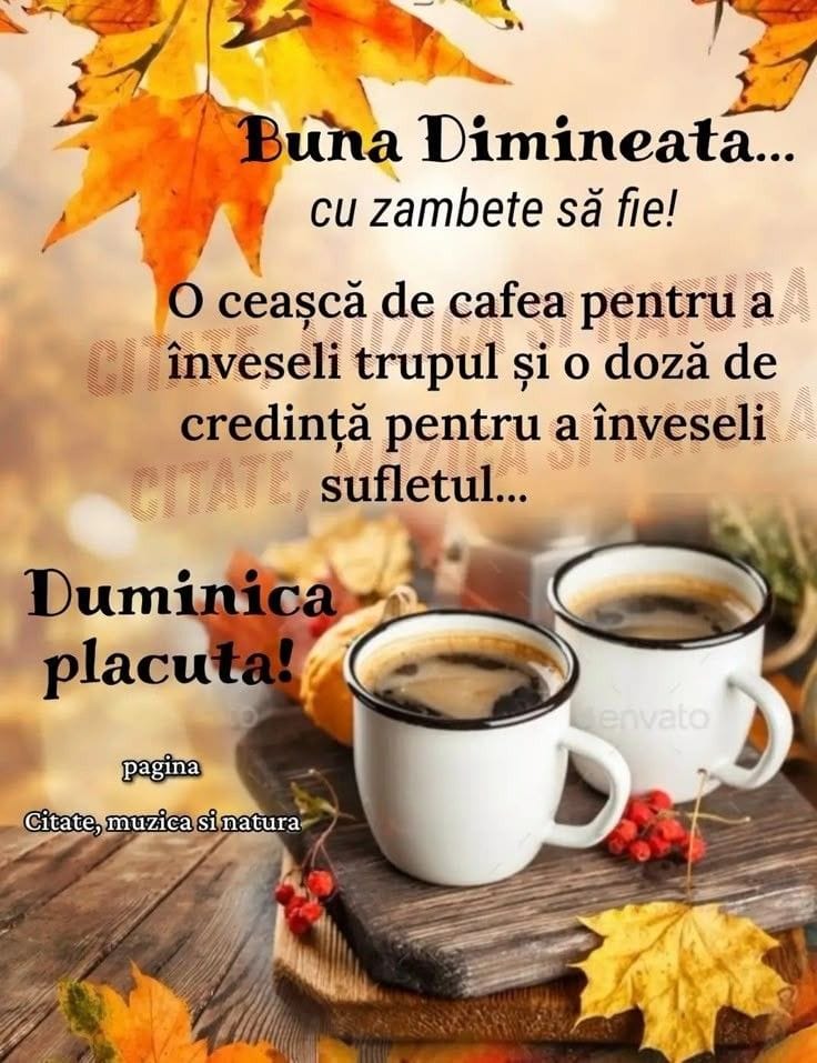 Bună dimineața!☕ Să aveți o Duminică frumoasă și binecuvântată alături de cei dragi vouă!🍂🍂🍂