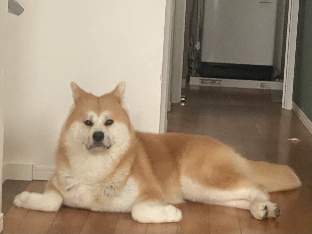 choux(しゅー)🍉 on X