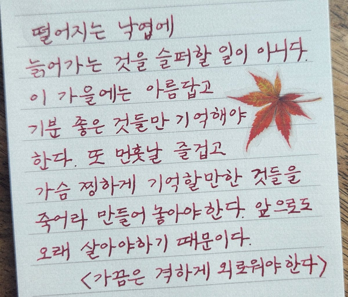 bookholic_bot's tweet photo. 해가 갈 수록
내 사랑하는 계절이 줄어든다.
책을 읽든 산책을 하든
어서 나가서 이 가을을 누려보자!!! https://t.co/p61GHl8XkP