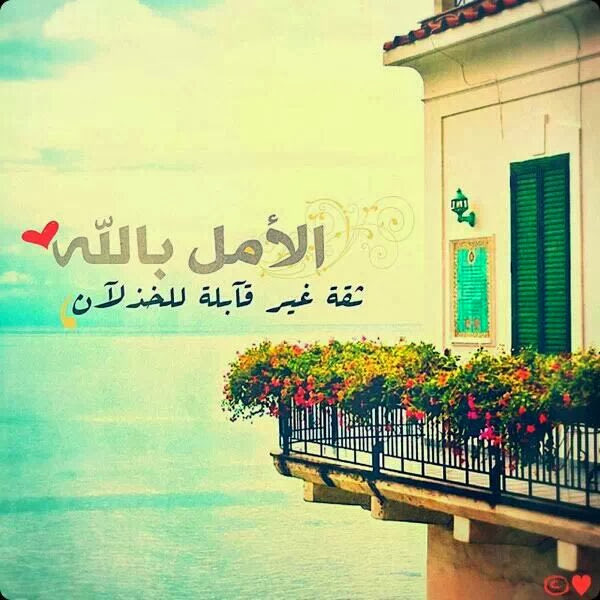 ما تحتاج الذيابه مدامك ما تماشي خرفان 🐑