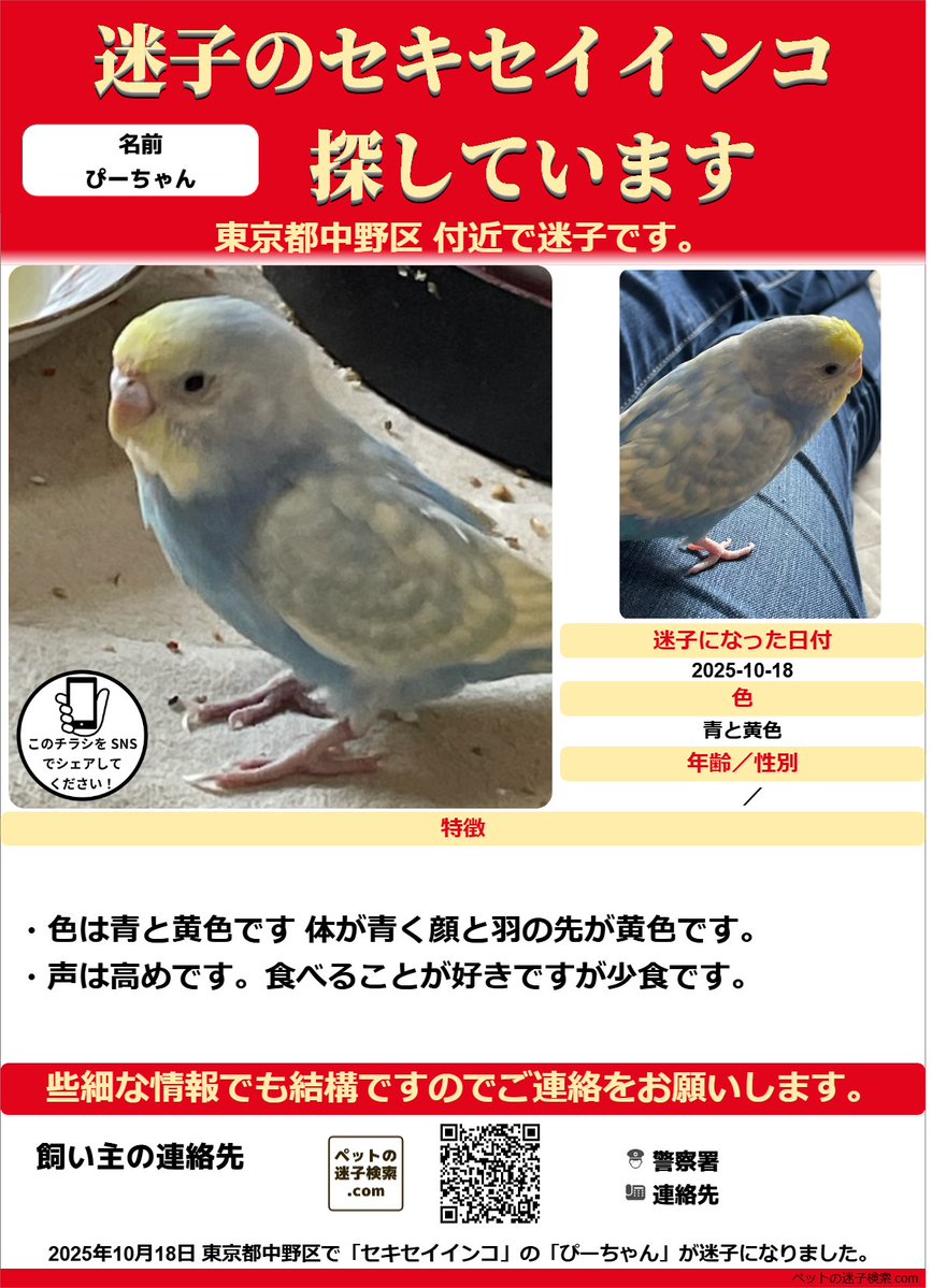 Tweet media one