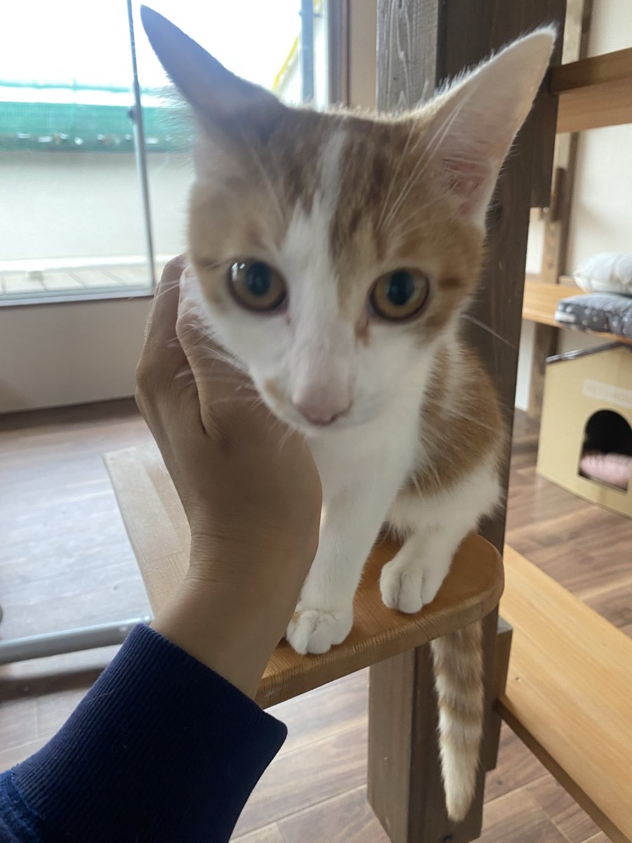 昨日はみんなと一緒にあばれまちた！

トム君です😅
