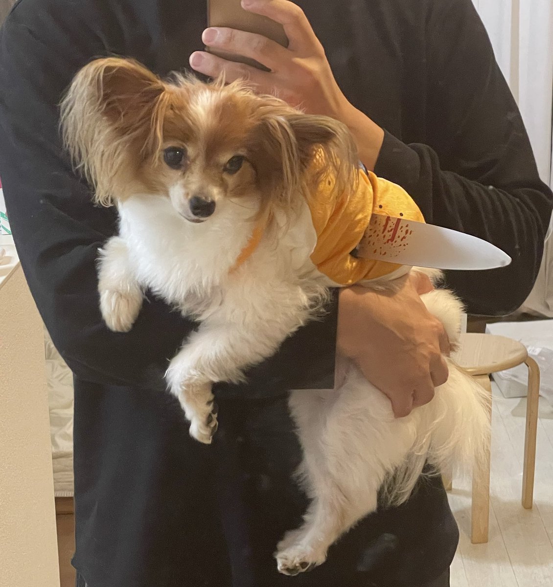 ハロウィン試着