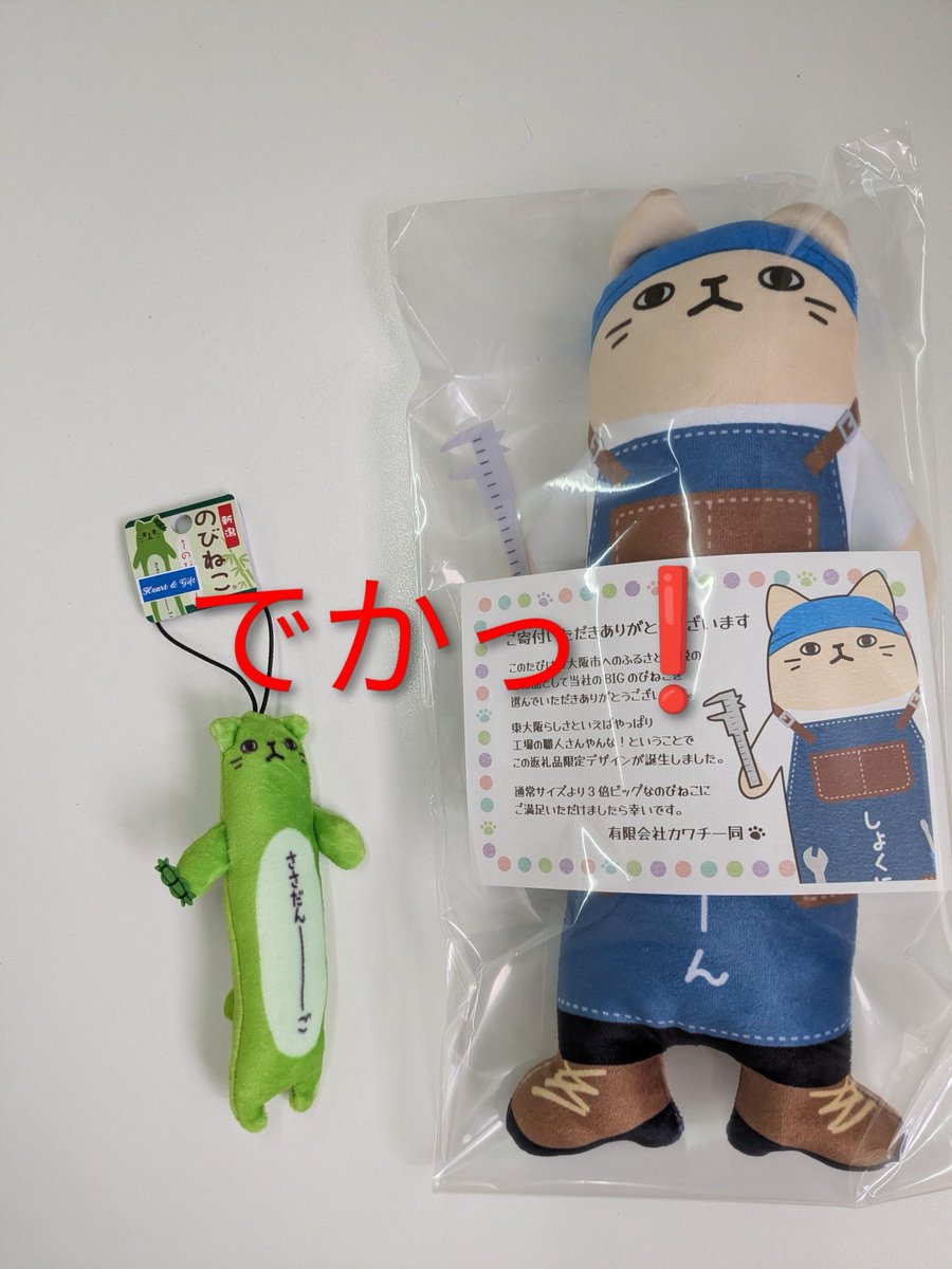 のびねこ - Search / X