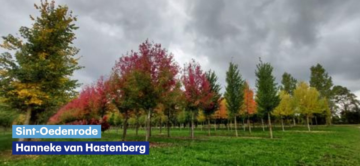 Goedemorgen 🌥️ Vandaag is het nog een dag om de paden op en de lanen in te gaan. Je kunt de plu thuislaten. Vanaf morgen krijgen we te maken met een andere kant van de herfst: het wordt wisselvallig. Op donderdag en vrijdag is er kans op zware windstoten. buienradar.nl/nederland/weer…
