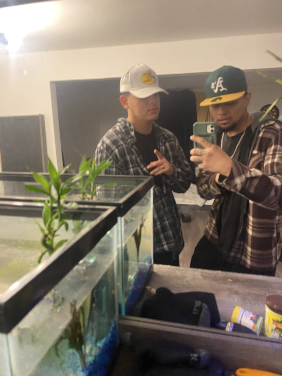 mandito maldito tweet media