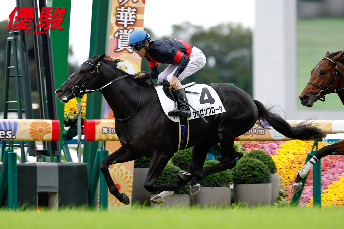 馬場 京都第5レース「2歳新馬」(芝2000m)は #北村友一 騎手騎乗の