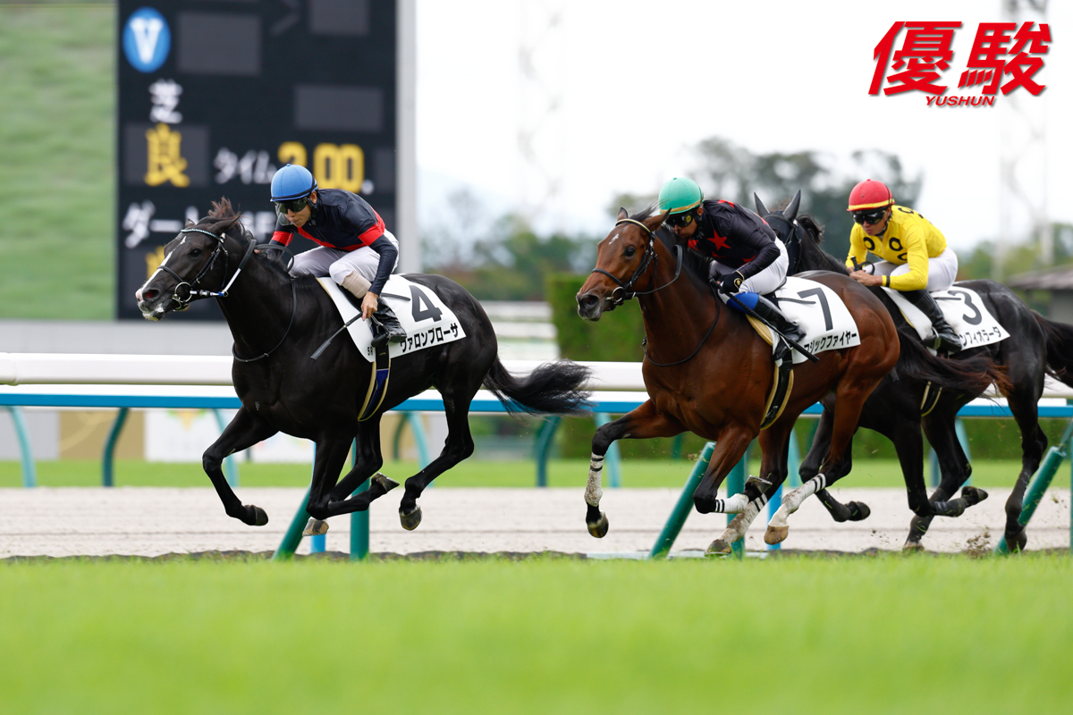 馬場 京都第5レース「2歳新馬」(芝2000m)は #北村友一 騎手騎乗の