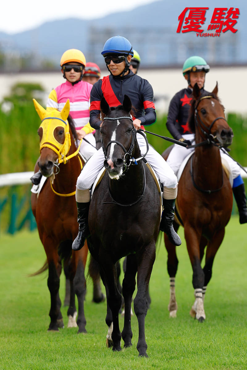 京都第5レース「2歳新馬」(芝2000m)は #北村友一 騎手騎乗の