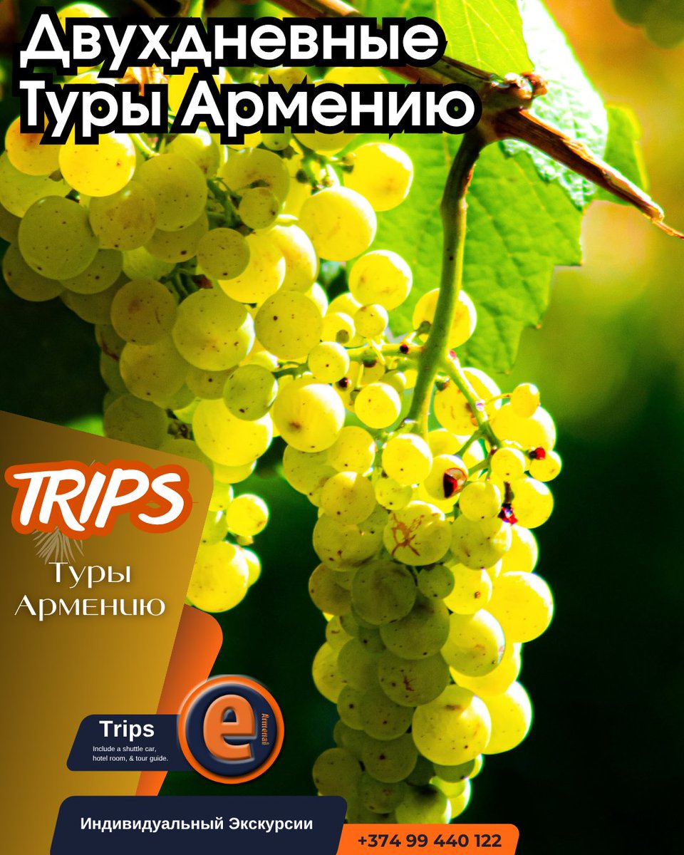 ExcursionsArmen's tweet photo. 2-дневный тур по Армении
2 дня приключений 🇦🇲
Гарни, Гегард, Севан + Хор Вирап, Нораванк, Арени 
👉  https://t.co/rF9XFGCgK0
#Путешествия #отдых #туры #СанктПетербург #москва https://t.co/wQfXQczUix