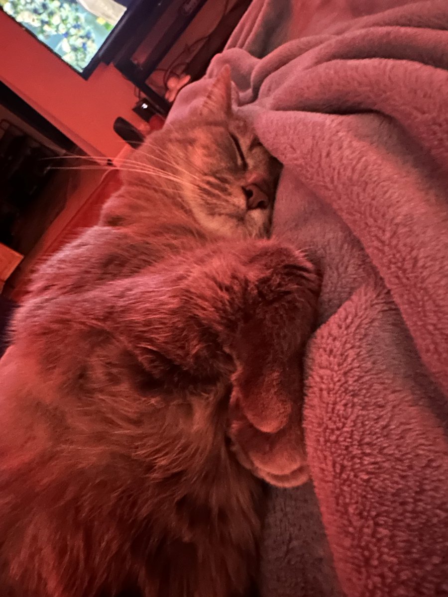 nothing beats a rainy night w my son