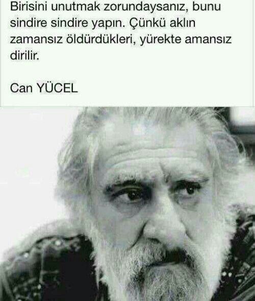 Celalettin can Erdem tweet media