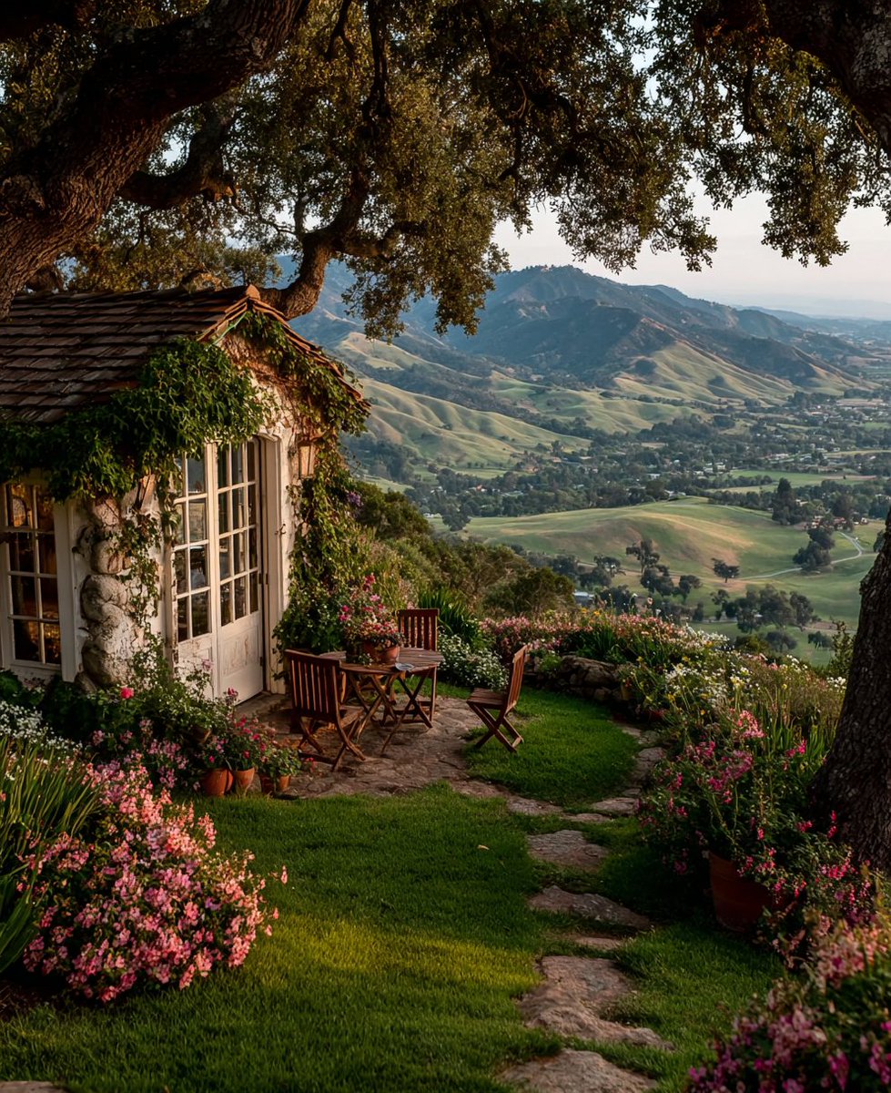 aestheticwabi's tweet image. 