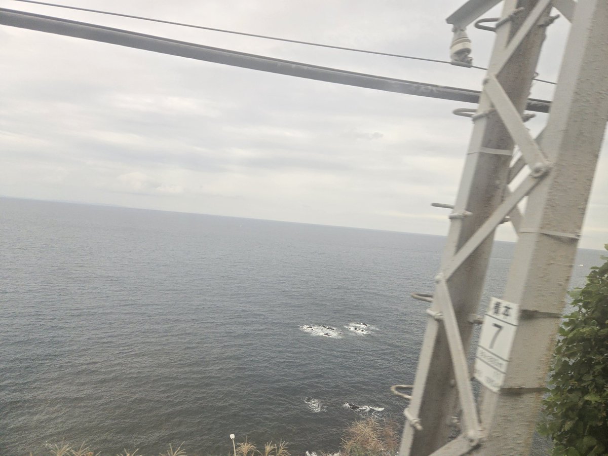 siroirumoco's tweet image. AIは凄い‼️
電線やら、山やら建物までも消して、水平線を見せてくれました(笑) 
間もなく熱海。