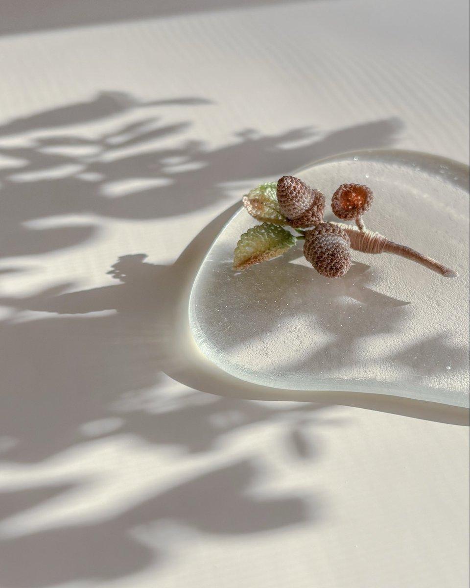 ✎イベント

🍀シュシュマーケット
＊2025/11/3
＊和歌山ビッグホエール メインアリーナ

🍀 泉南まるごとフェスティバル
　　手作りの森マルシェ
＊2025/11/23（日）
＊泉南りんくう公園［SENNAN LONG PARK〕
　アクティビティエリア サザンストリート内