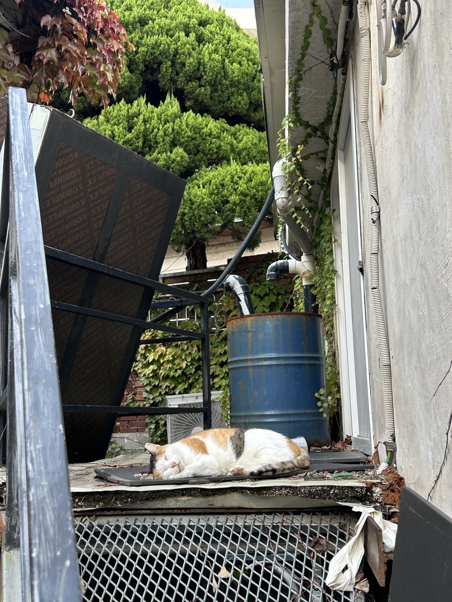 writeNjoy's tweet image. 